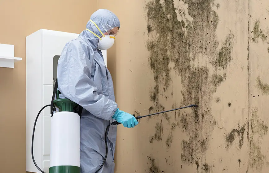 Mold Remediation Houston servicing mold infestation inside a home